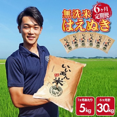 【毎月定期便】はえぬき無洗米『いいあん米』5kg×6ヶ月連続 計30kg全6回