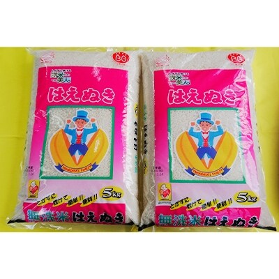 【令和3年産】無洗米 山形県産はえぬき 5kg×2袋