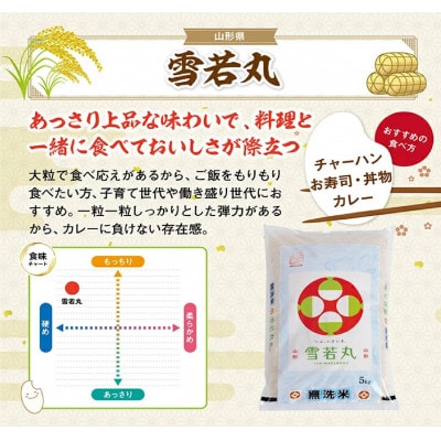 【令和7年産】無洗米 つや姫5kg×1袋　無洗米 雪若丸5Kg×1袋　計10Kg