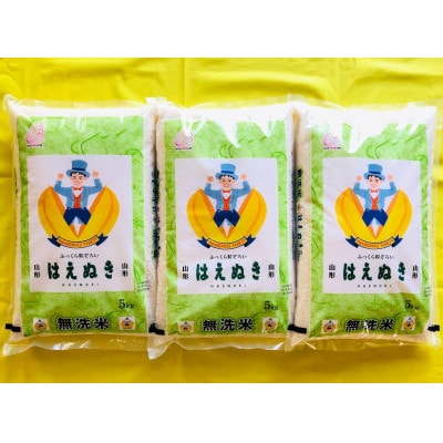 【毎月定期便】無洗米 はえぬき 5kg全3回