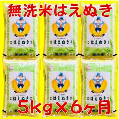 【毎月定期便】無洗米はえぬき　精米5kg(5kg×1袋)(新)全6回