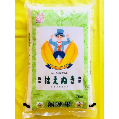 【毎月定期便】【無洗米】はえぬき5kg全3回