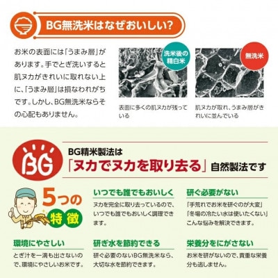 【毎月定期便】無洗米雪若丸5kg全6回