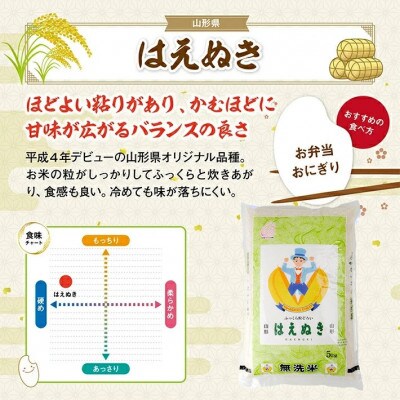 【毎月定期便】無洗米はえぬき5kg全3回