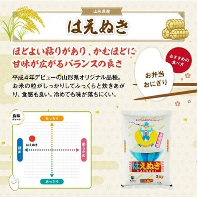 【毎月定期便】米屋自慢はえぬき5kg全6回