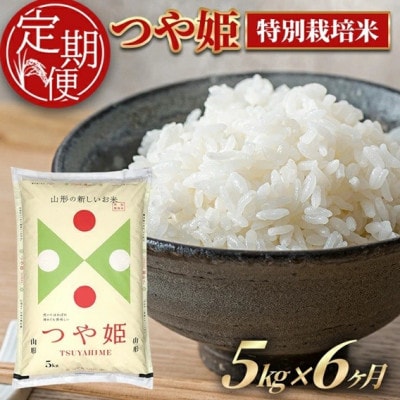 【毎月定期便】特別栽培米　つや姫5kg全6回