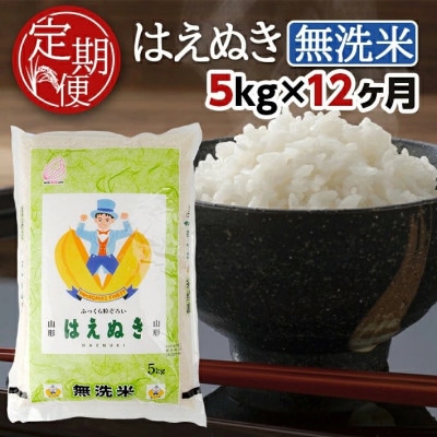 【毎月定期便】無洗米はえぬき5kg全12回