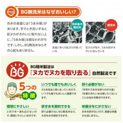 【毎月定期便】無洗米はえぬき5kg全12回