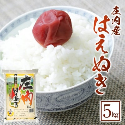 令和7年産 はえぬき 精米 5kg 農産物検査員おすすめの庄内米