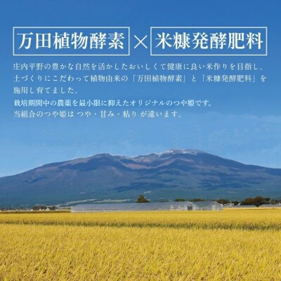令和7年産 つや姫(万田植物酵素・米糠醗酵肥料使用) 精米 5kg×2 農産物検査員おすすめの庄内米