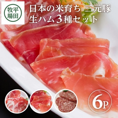 【平田牧場】三元豚◆生ハム3種セット 　計6パック(生ハム、生ハムコッパ、サラミ 各2パック)