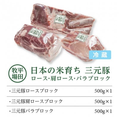 【平田牧場】日本の米育ち◆三元豚 ブロック肉3種セット　計1.5kg( 各500g)
