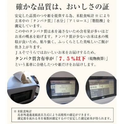 特別栽培米 山形県産つや姫10kg (5kg×2袋)