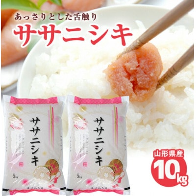 山形県庄内産米　ササニシキ　10kg(精米)