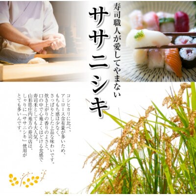 山形県庄内産米　ササニシキ　10kg(精米)