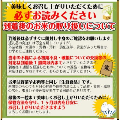 山形県庄内産米　ササニシキ　10kg(精米)