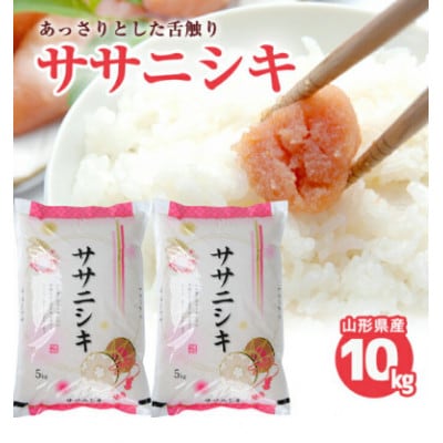 山形県庄内産米　ササニシキ　10kg(精米)