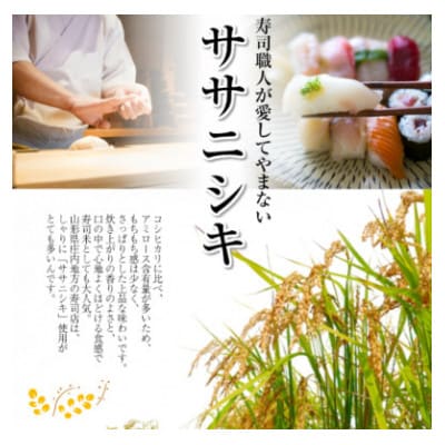 山形県庄内産米　ササニシキ　10kg(精米)