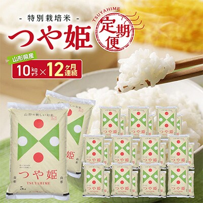 2023年2月発送開始『定期便』つや姫 10kg×12ヶ月連続　全12回