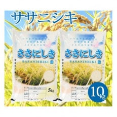 【令和5年産米】【山形県庄内産】ササニシキ5kg×2袋計10kg