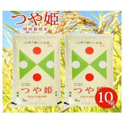 【令和6年産米】【山形県庄内産】つや姫10kg(5kg×2袋)精米