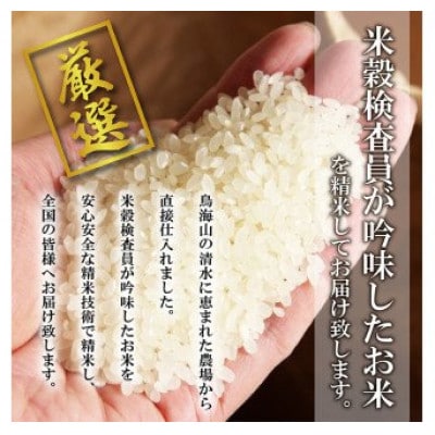 【令和6年産米】【山形県庄内産】つや姫10kg(5kg×2袋)精米