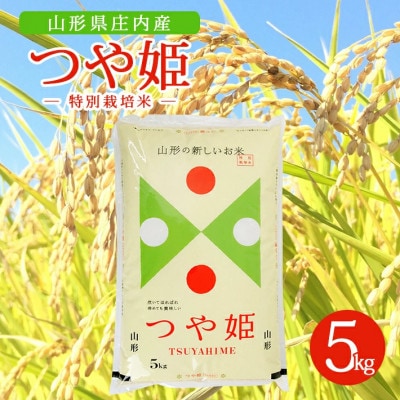 【令和7年産米】【山形県庄内産】特別栽培米 つや姫5kg×1袋 精米
