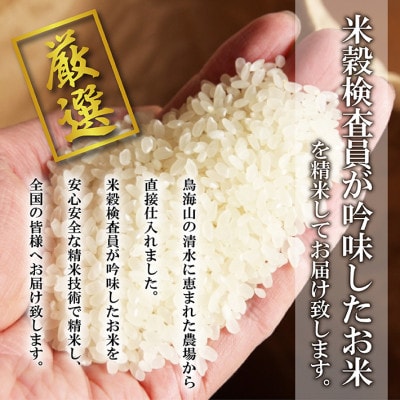 【令和7年産米】【山形県庄内産】特別栽培米 つや姫5kg×1袋 精米