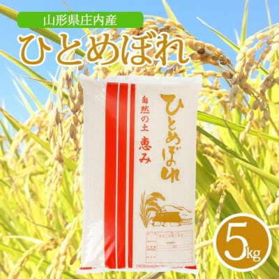 【令和7年産米】【山形県庄内産】ひとめぼれ5kg×1袋 精米