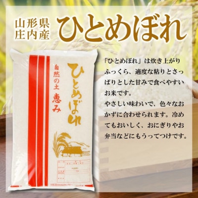 【令和7年産米】【山形県庄内産】ひとめぼれ5kg×1袋 精米
