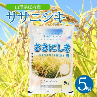 【令和7年産米】【山形県庄内産】ササニシキ5kg×1袋 精米