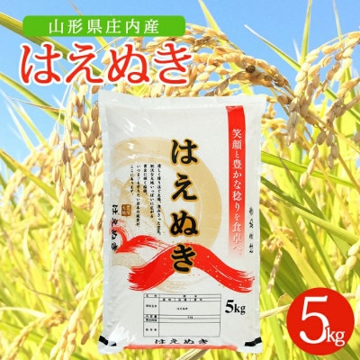 【令和7年産米】【山形県庄内産】はえぬき5kg×1袋 精米