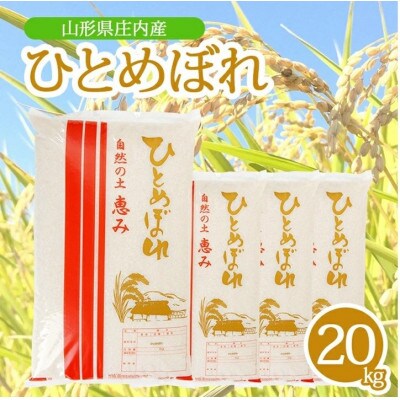 【令和7年産米】【山形県庄内産】ひとめぼれ5kg×4袋 計20kg 精米