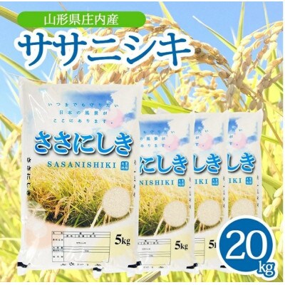 【令和7年産米】【山形県庄内産】ササニシキ5kg×4袋 計20kg 精米