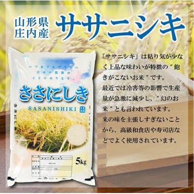 【令和7年産米】【山形県庄内産】ササニシキ5kg×4袋 計20kg 精米