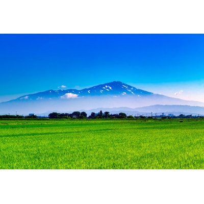 FRESH 鳥海山水(ちょうかいさんすい)　500ml×24本　1ケース