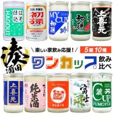 湊酒田のワンカップ10種飲み比べセット　180ml×10本