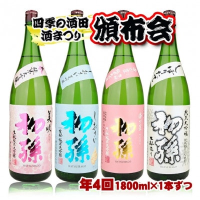 【発送月固定定期便】【四季の酒田の酒まつり頒布会】初孫純米大吟醸1800ml×1本全4回