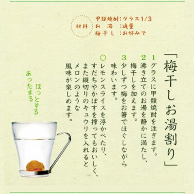 郷土の焼酎《金龍》New爽 720ml 12本　セット