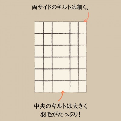 羽毛布団 ベッド専用 ダブル 本掛け ホワイトグース93%