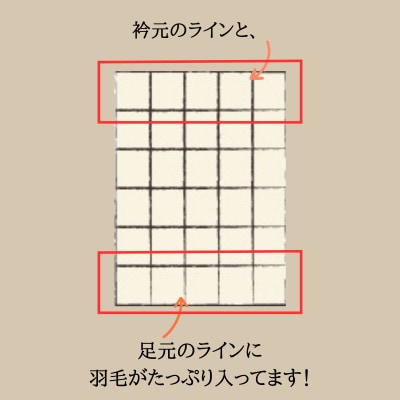 羽毛布団 衿元足元羽毛増量 シングル 本掛け ホワイトグース93%