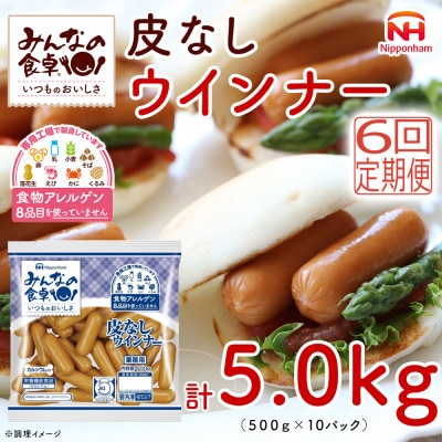 【毎月定期便】みんなの食卓 皮なしウインナー 500g×10袋 計5.0kg 日本ハム全6回