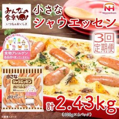 【毎月定期便】小さなシャウエッセン ボリュームパック 405g×6袋 日本ハム全3回
