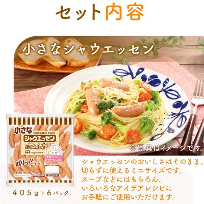【毎月定期便】小さなシャウエッセン ボリュームパック 405g×6袋 日本ハム全3回