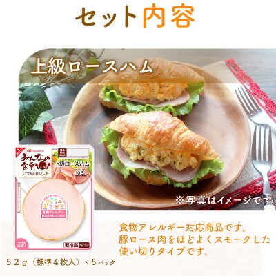 【毎月定期便】みんなの食卓 上級ロースハム 標準4枚入×5パック 日本ハム全6回