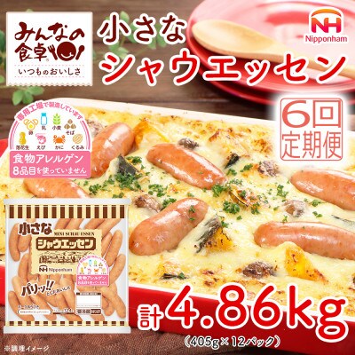 【毎月定期便】小さなシャウエッセン ボリュームパック 405g×12袋 日本ハム全6回