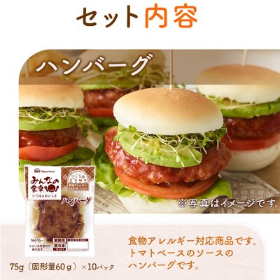 【毎月定期便】みんなの食卓 ハンバーグ 75g×10個 冷凍 日本ハム全3回