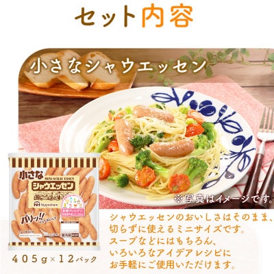 【毎月定期便】小さなシャウエッセン ボリュームパック 405g×12袋 日本ハム全2回