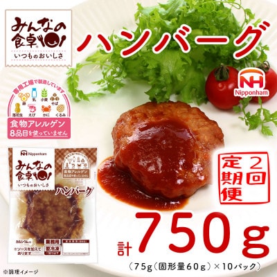 【毎月定期便】みんなの食卓 ハンバーグ 75g×10個 冷凍 日本ハム全2回