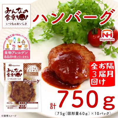 【2ヵ月毎定期便】みんなの食卓 ハンバーグ 75g×10個 冷凍 日本ハム全3回